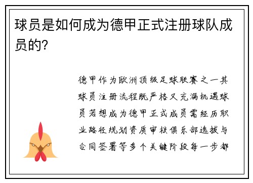球员是如何成为德甲正式注册球队成员的？