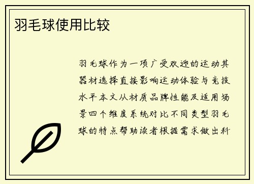 羽毛球使用比较